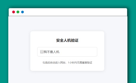给php网站加一个安全人机验证和防止恶意行为（避免占据大量服务器资源）